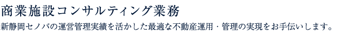 商業施設コンサルティング業務 新静岡セノバの運営管理実績を活かした最適な不動産運用・管理の実現をお手伝いします。